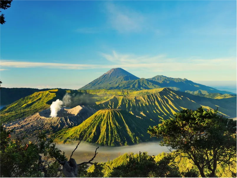 Bromo